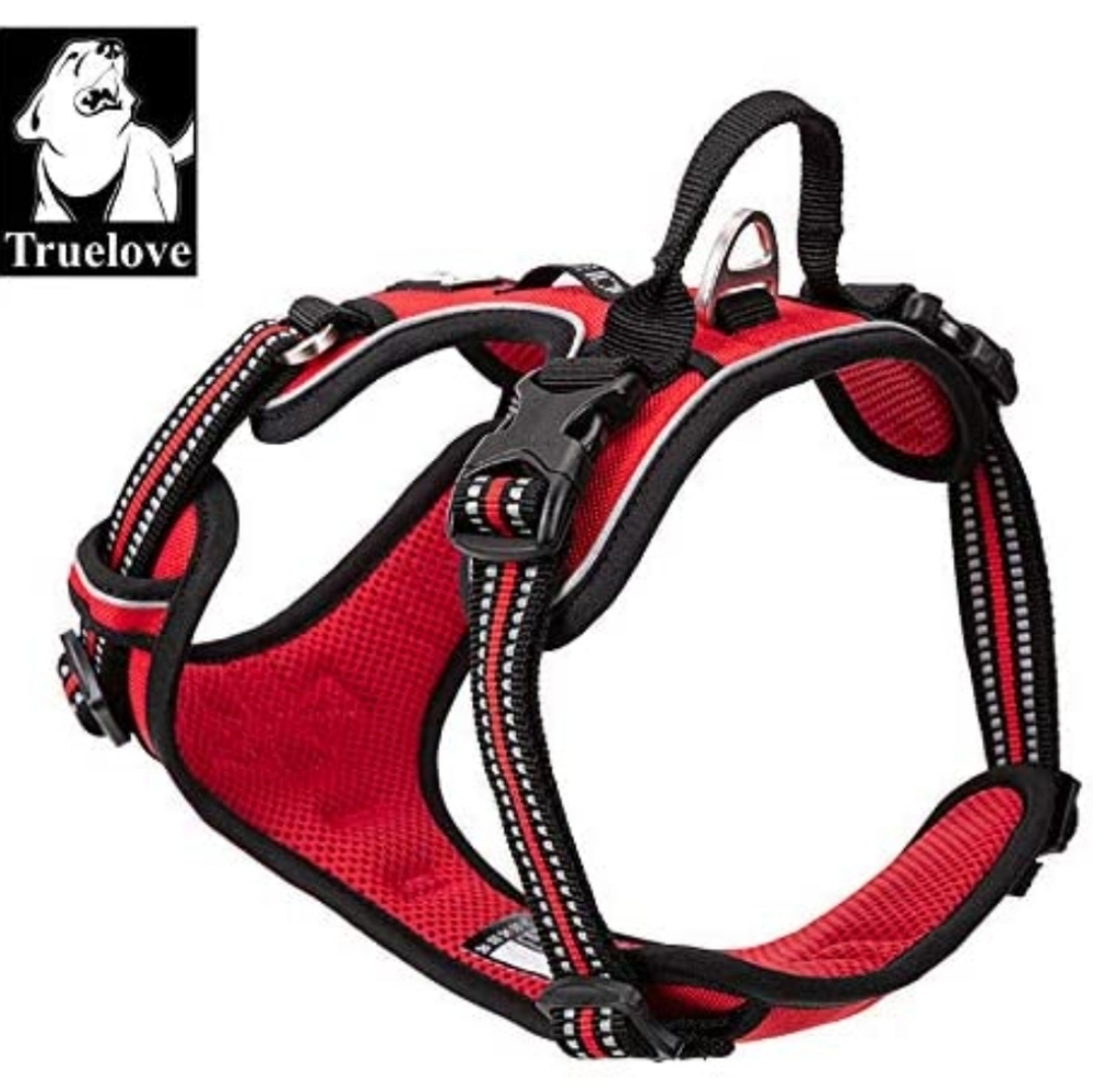 True Love outdoor harness - Picture 4 of 14